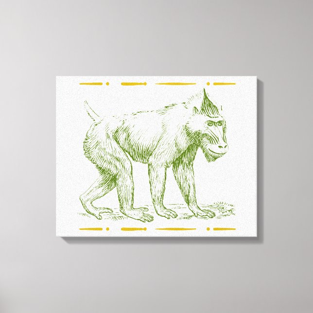 Mandrill Monkey Canvas Print (Front)