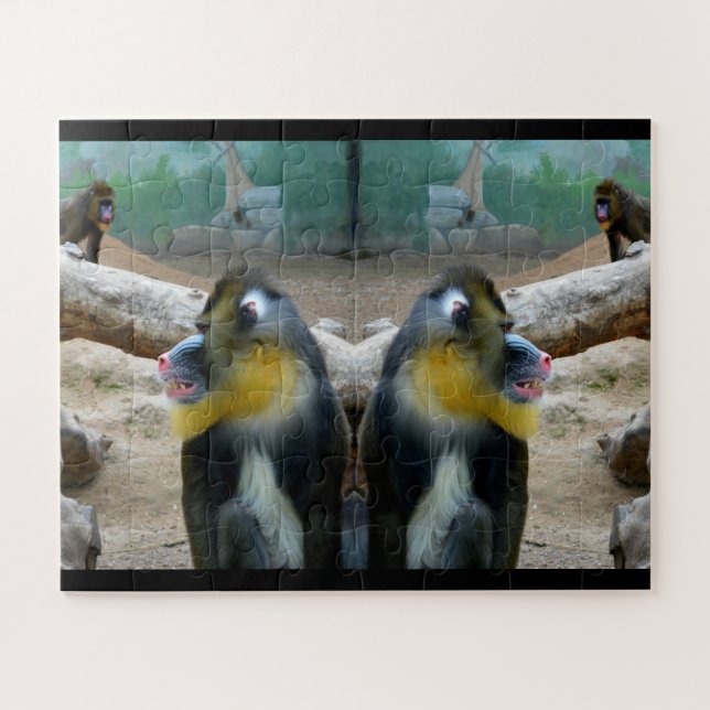 Mandrill monkeys jigsaw puzzle (Horizontal)