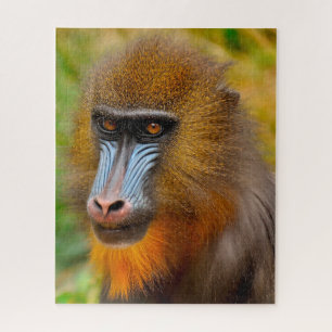 Mandrill Monkeys. Jigsaw Puzzle