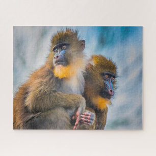 Mandrill Monkeys. Jigsaw Puzzle