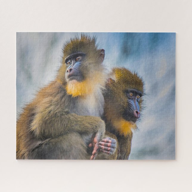 Mandrill Monkeys. Jigsaw Puzzle (Horizontal)