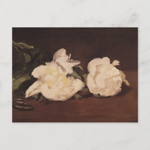 Manet Branch of White Peonies and Secateurs Postcard