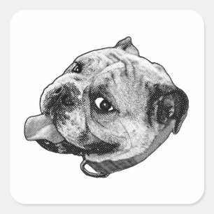 Manga Bulldog Mark Square Sticker