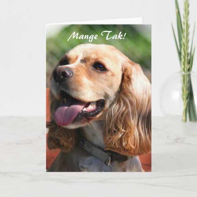 Mange Tak Thank You Cocker spaniel greeting card (Front)