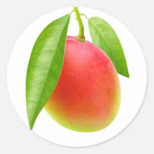 Mango Classic Round Sticker