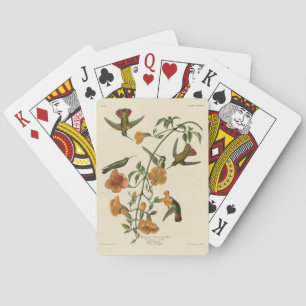 Mango Hummingbird from Audubon's Birds of America Playing Cards