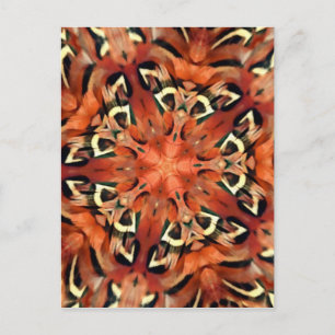 Mango Pheasant Feather Kaleidoscope  Mandala Postcard