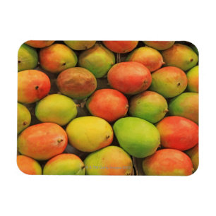 Mangos, Spain, Catalonia, Barcelona, La Boqueria Magnet