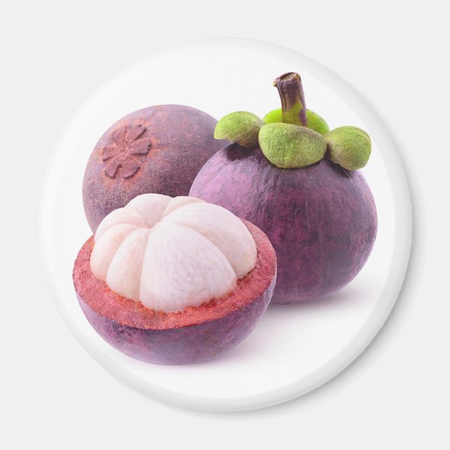 Mangosteens Magnet (Front)