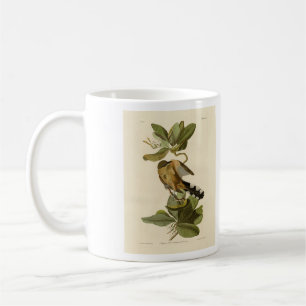 Mangrove Cuckoo from Audubon's Birds of America Coffee Mug