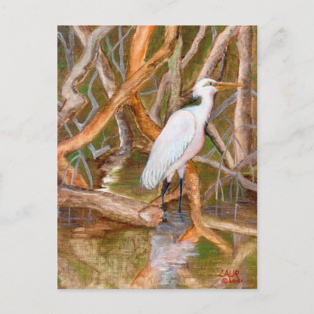 Mangrove Egret No. 2 Postcard (Front)