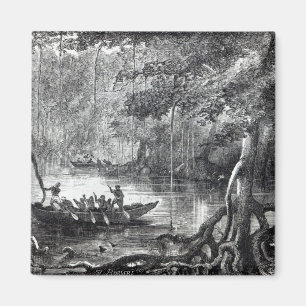 Mangrove Forest' Magnet