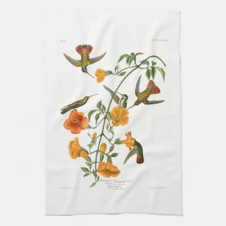 Mangrove Humming Bird Audubon Birds of America Tea Towel