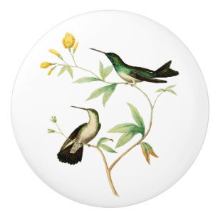 Mangrove Hummingbird Ceramic Knob
