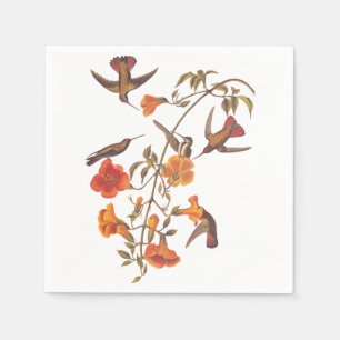Mangrove Hummingbird with Orange Flowers Napkin