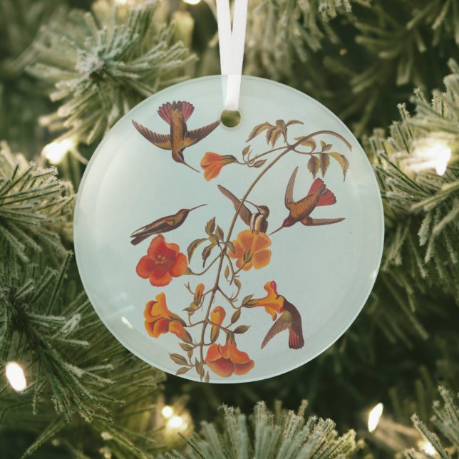 Mangrove Hummingbirds with Orange Trumpet Flowers Glass Tree Decoration (Insitu)