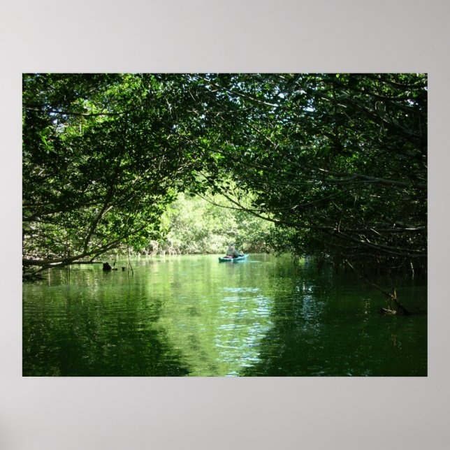 Mangrove Kayaking Poster (Front)