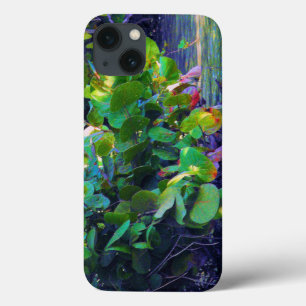 Mangrove Lagoon with Sea Grapes iPhone 13 Case