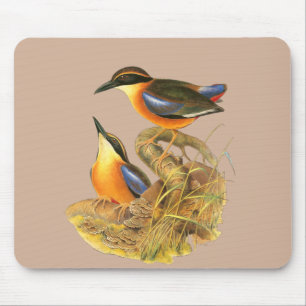 Mangrove Pitta Mouse Pad