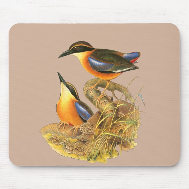 Mangrove Pitta Mouse Pad (Front)