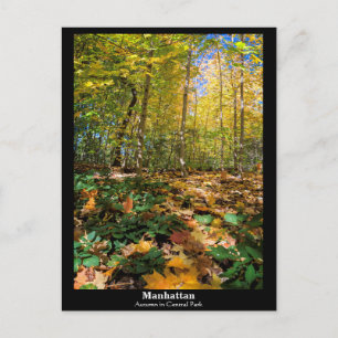 Manhattan, Autumn in Central Park Postcard