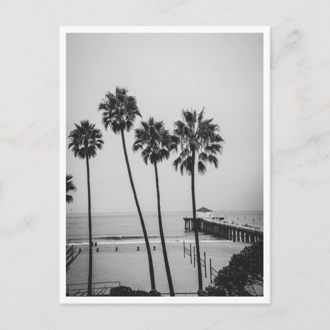 Manhattan Beach Pier and Palm Tree Black & White Postcard (Front)