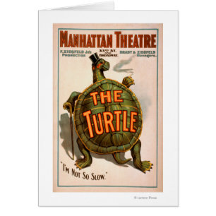 Manhattan Theatre New York Broadway The Turtle