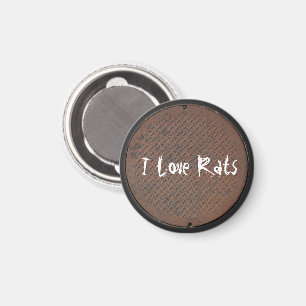 Manhole Cover Series Magnet
