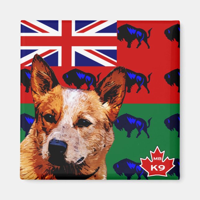 Manitoba Australian Cattle Dog Magnet (Front)