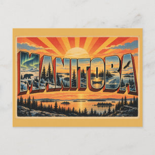 Manitoba Canada Tundra Boreal Forest Art Postcard