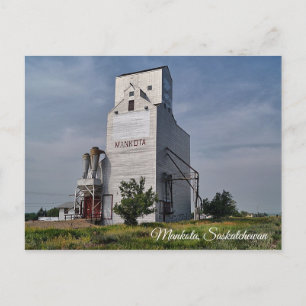Mankota Grain Elevator Postcard