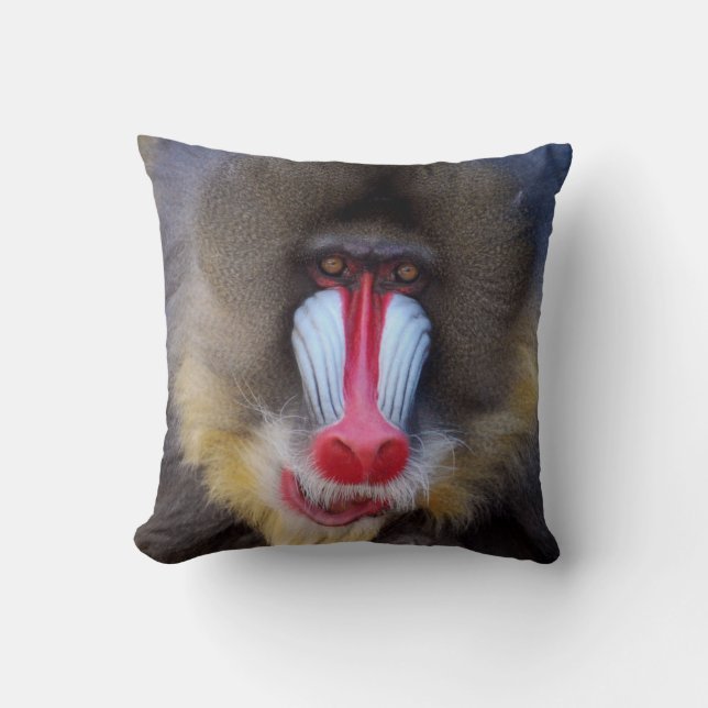 Manly Mandrill Cushion (Front)