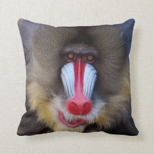 Manly Mandrill Cushion