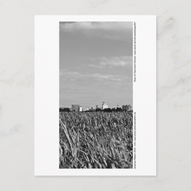 Mannheim - Skyline Postcard (Front)