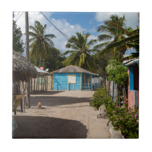 Mano Juan village in Saona Domenican Republic Tile