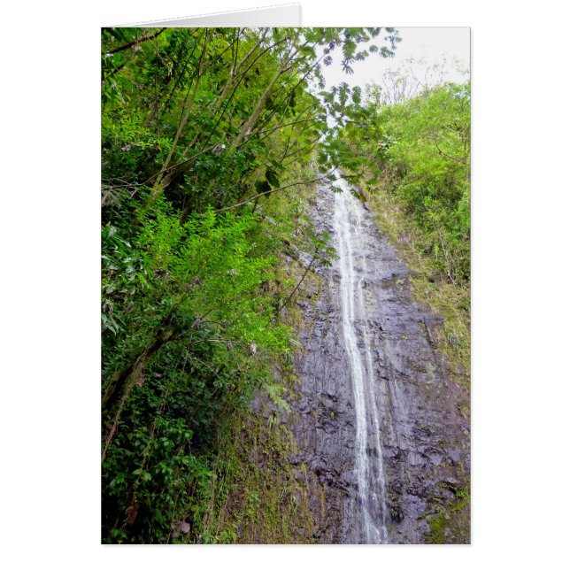 Manoa Falls (Front)