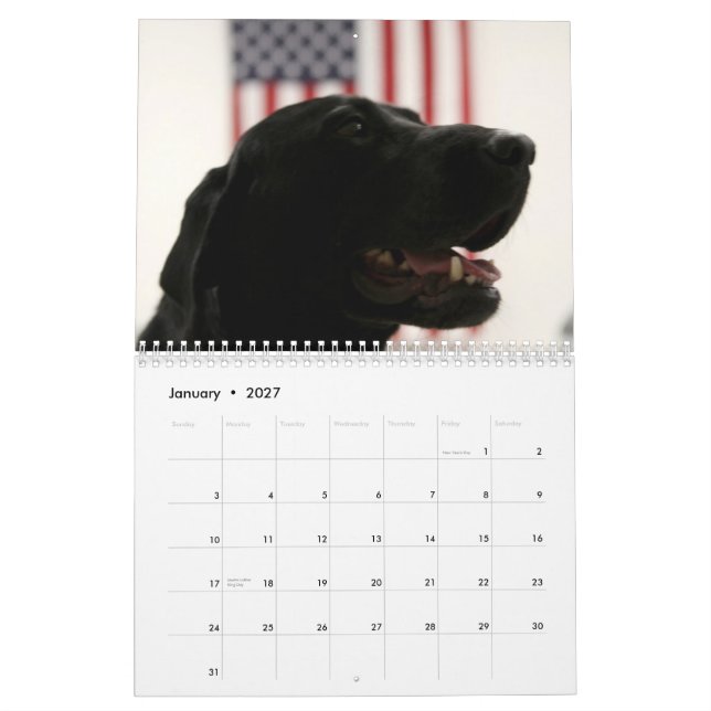Man's Best Friend Photography & Art Calendar (Jan 2027)