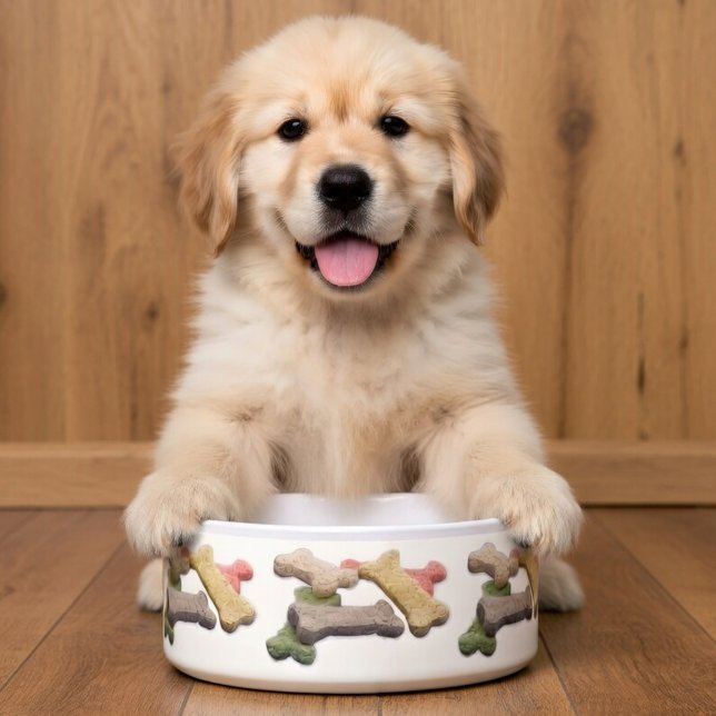 Man's Best Friends Multicolor Dog Treat (Ceramic pet bowl with colorful dog bone pattern around the outside.)