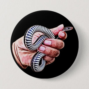 mans hand holding baby snake reptile art 7.5 cm round badge