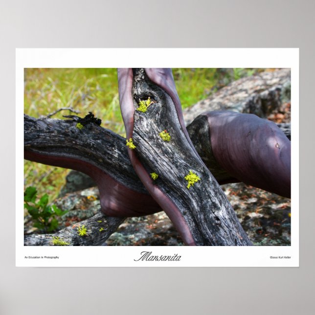 Mansanita Prints (Front)