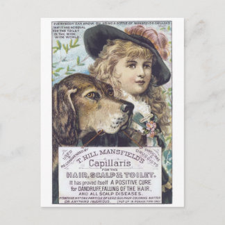 Mansfields Capallaris Postcard