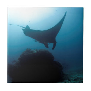 Manta ray blue ocean cleaning station tile