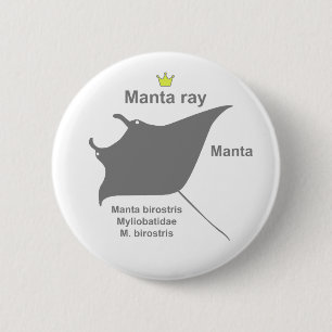 Manta ray g5 6 cm round badge