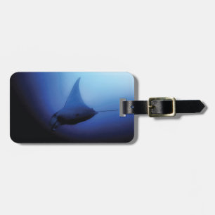 Manta Ray Luggage Tag