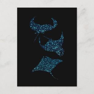 Manta Ray  Postcard