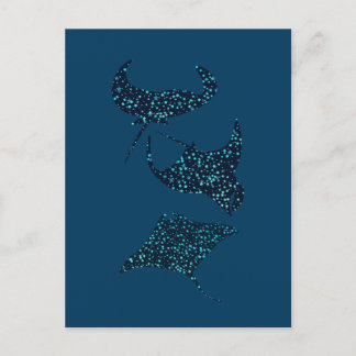 Manta Ray  Postcard