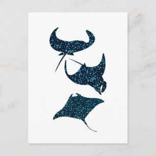 Manta Ray Postcard