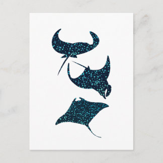 Manta Ray  Postcard