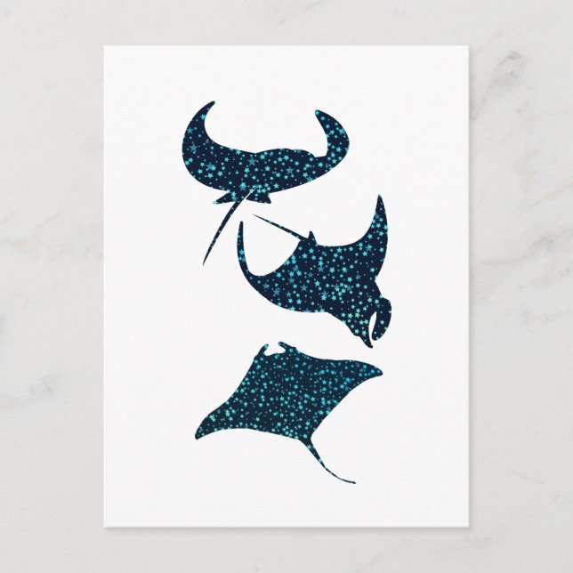 Manta Ray  Postcard (Front)