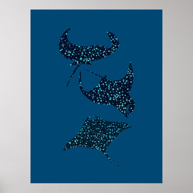 Manta Ray  Poster (Front)